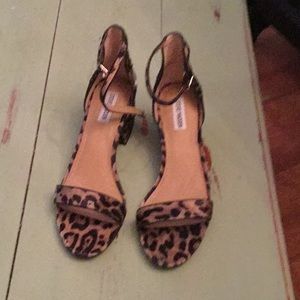 Steve Madden leopard sandals